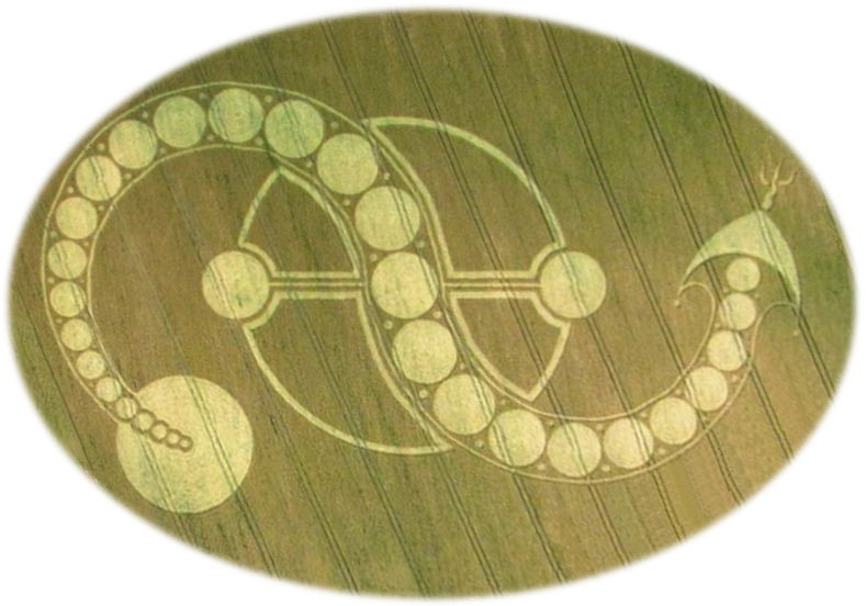 “Cosmic Serpent” Crop Circle